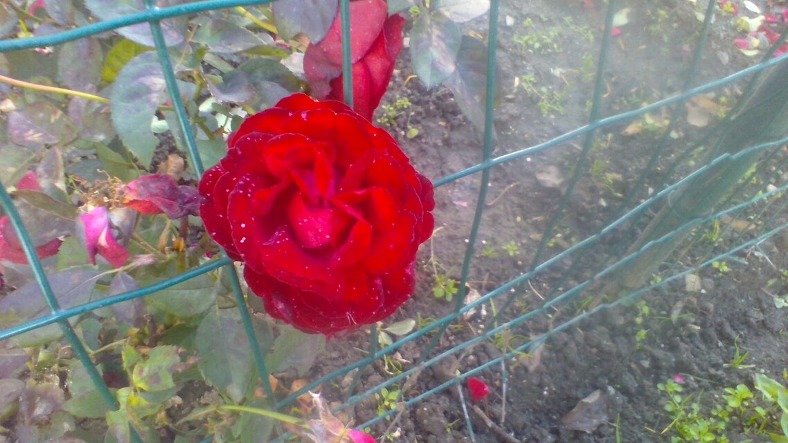 Acer Aspire Switch 11 V