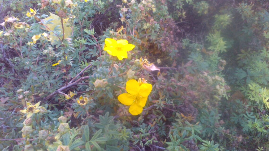 Acer Aspire Switch 11 V