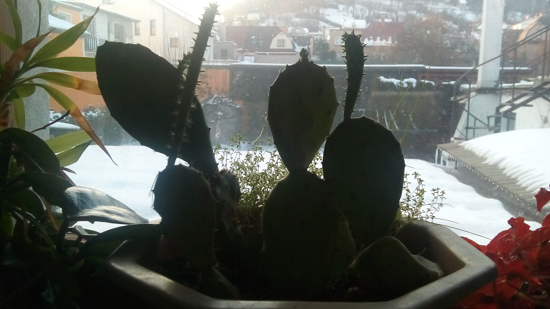 Acer Iconia Tab 10 (A3-A20-K6NM)