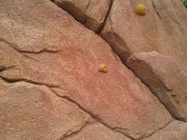 Acer Iconia Tab A510