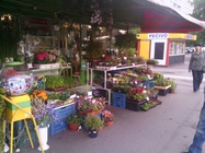 Acer Iconia Tab A510