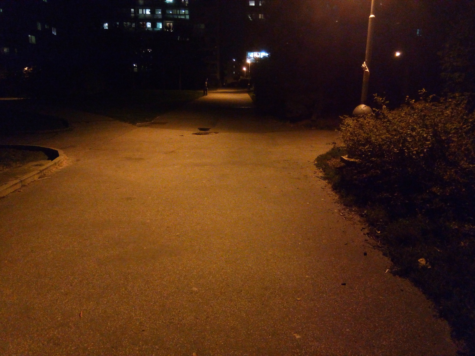 Acer Liquid Zest Plus