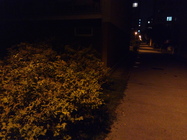 Acer Liquid Zest Plus