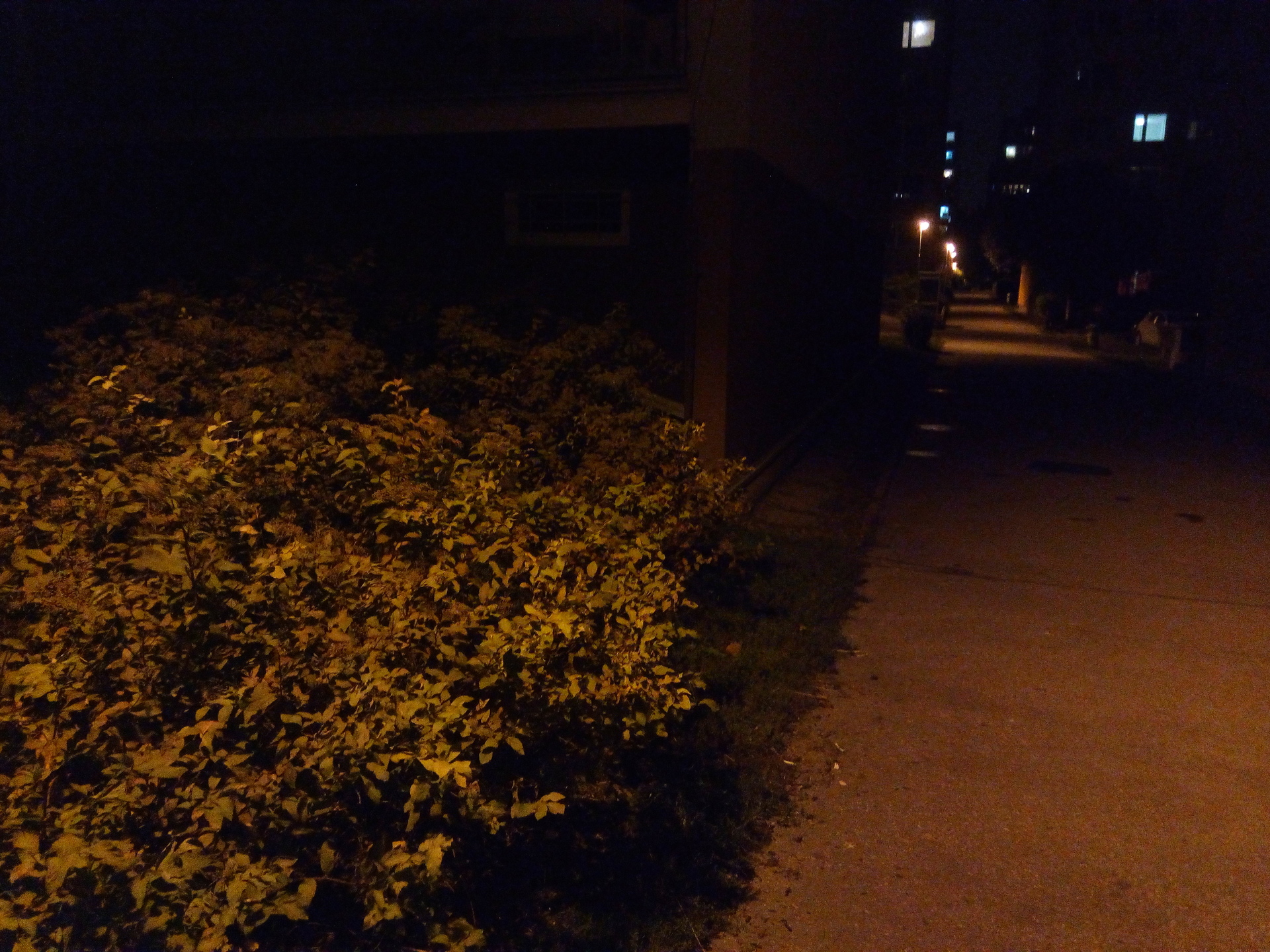 Acer Liquid Zest Plus