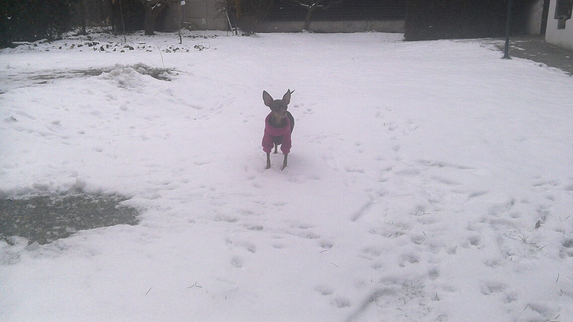 Acer Predator 8 GT-810