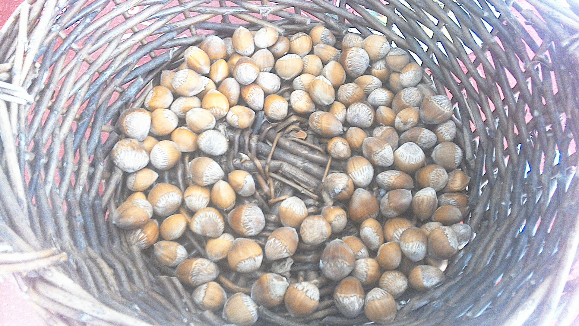 Acer Predator 8 GT-810