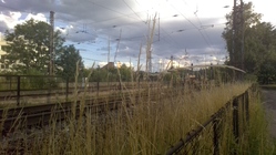 Acer Switch Alpha 12