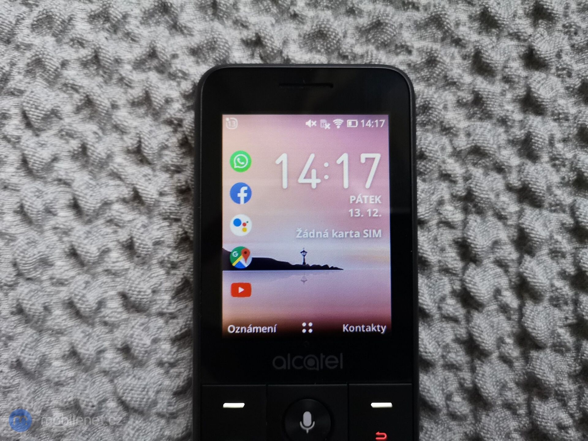Alcatel 3088X