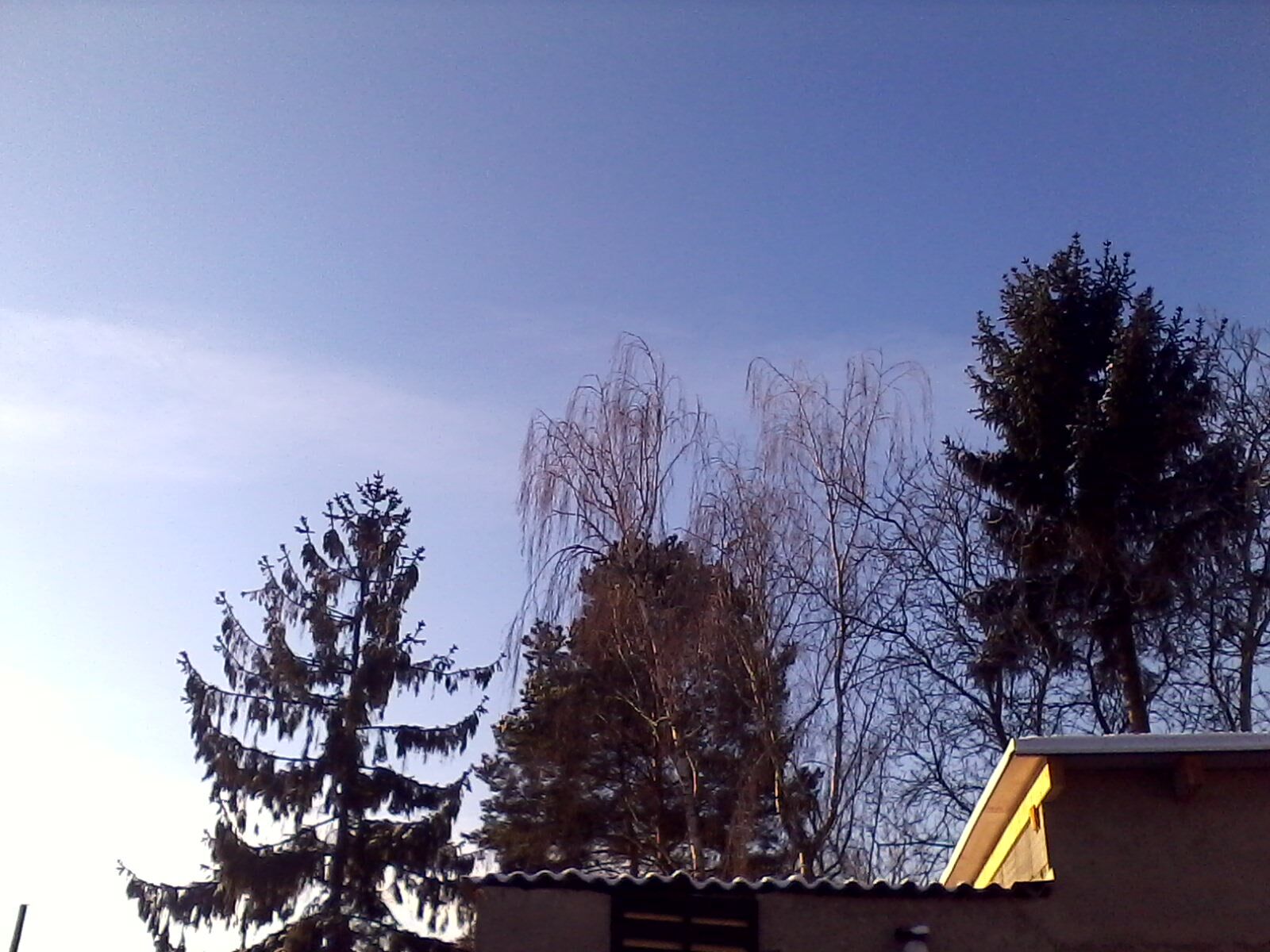 Alcatel One Touch 810 Glam