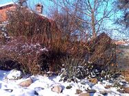 Alcatel One Touch 810 Glam