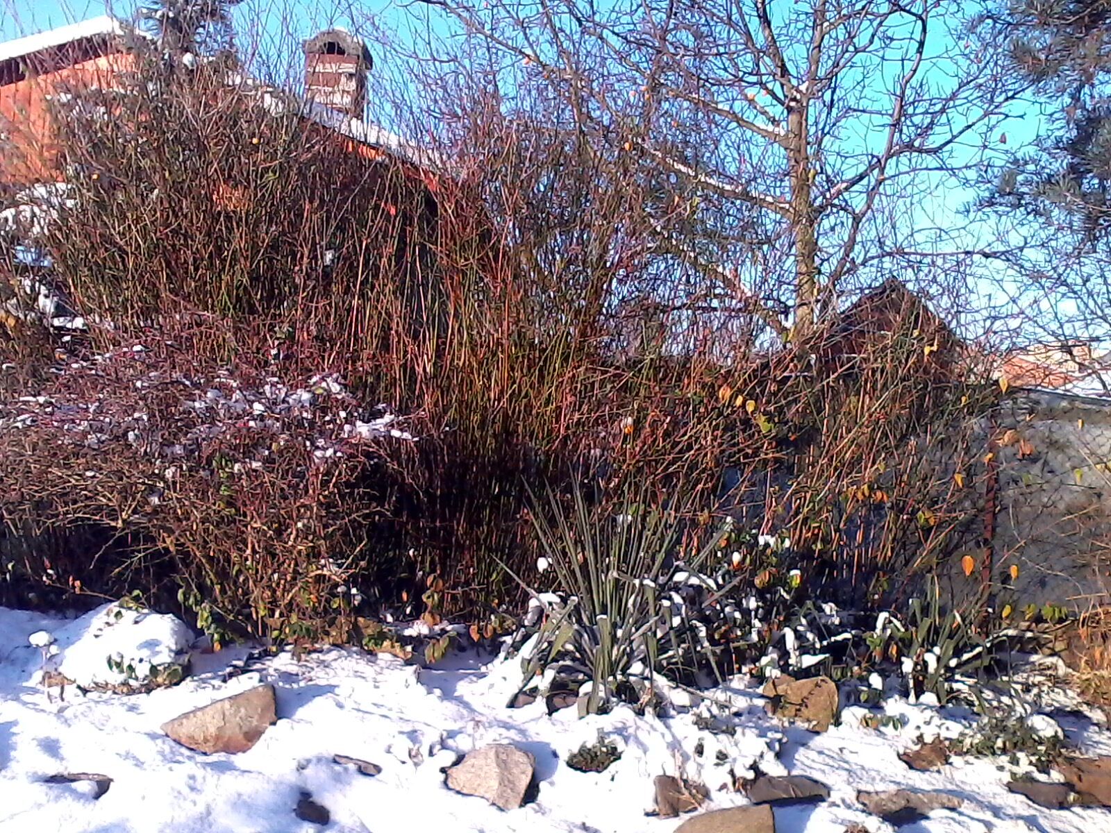 Alcatel One Touch 810 Glam