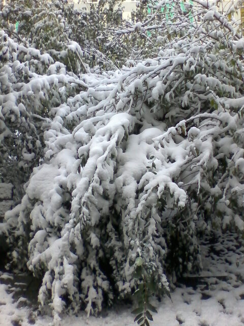 Alcatel One Touch 903D Smart