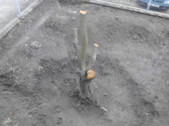 Alcatel One Touch 918D Mix