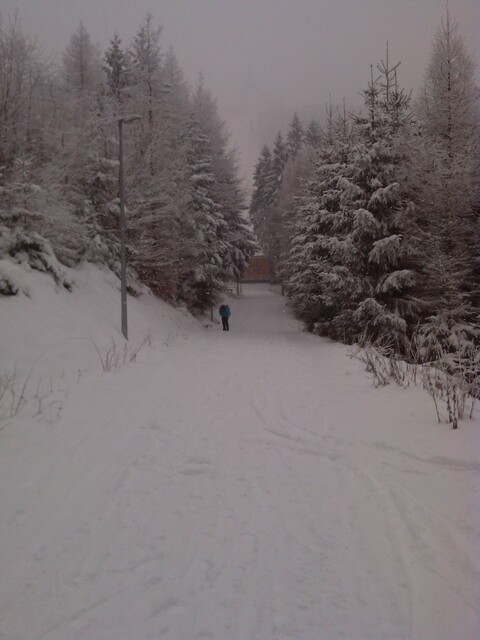 Alcatel One Touch 993D Smart