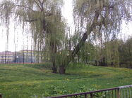 Alcatel One Touch Idol