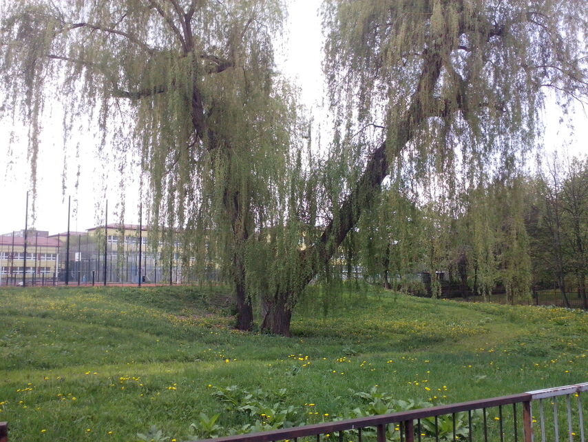 Alcatel One Touch Idol