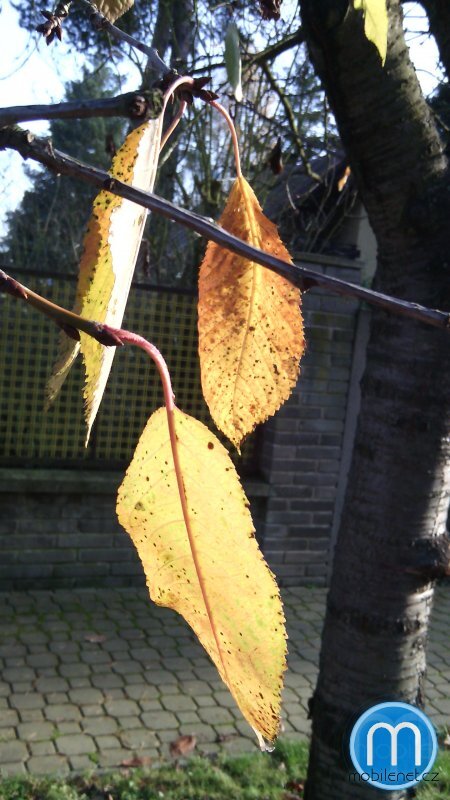 Alcatel One Touch Idol Mini