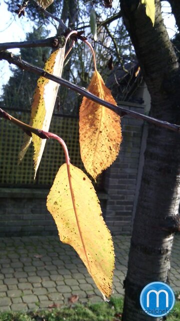 Alcatel One Touch Idol Mini