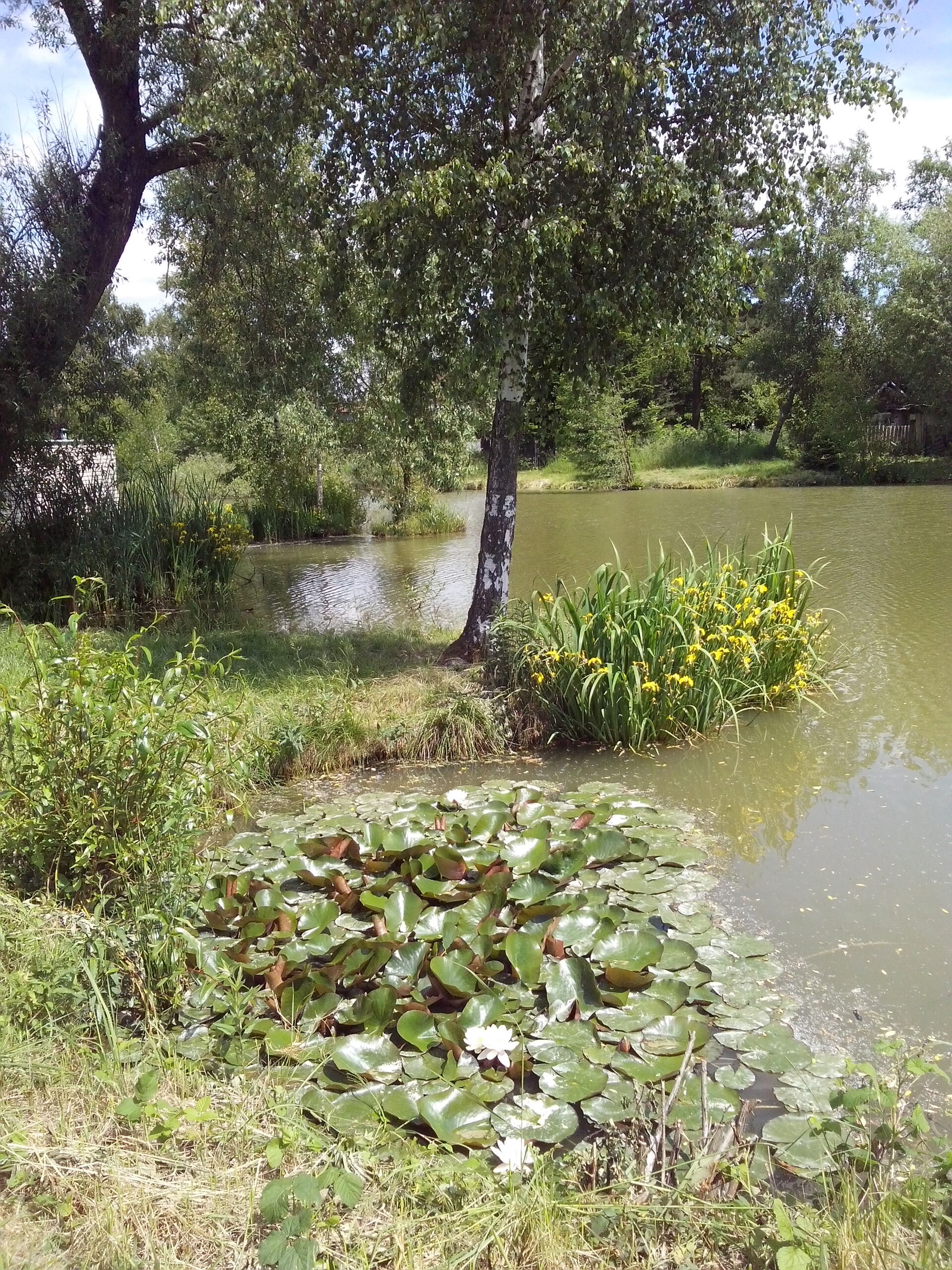 Alcatel One Touch Idol Ultra