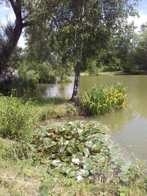 Alcatel One Touch Idol Ultra