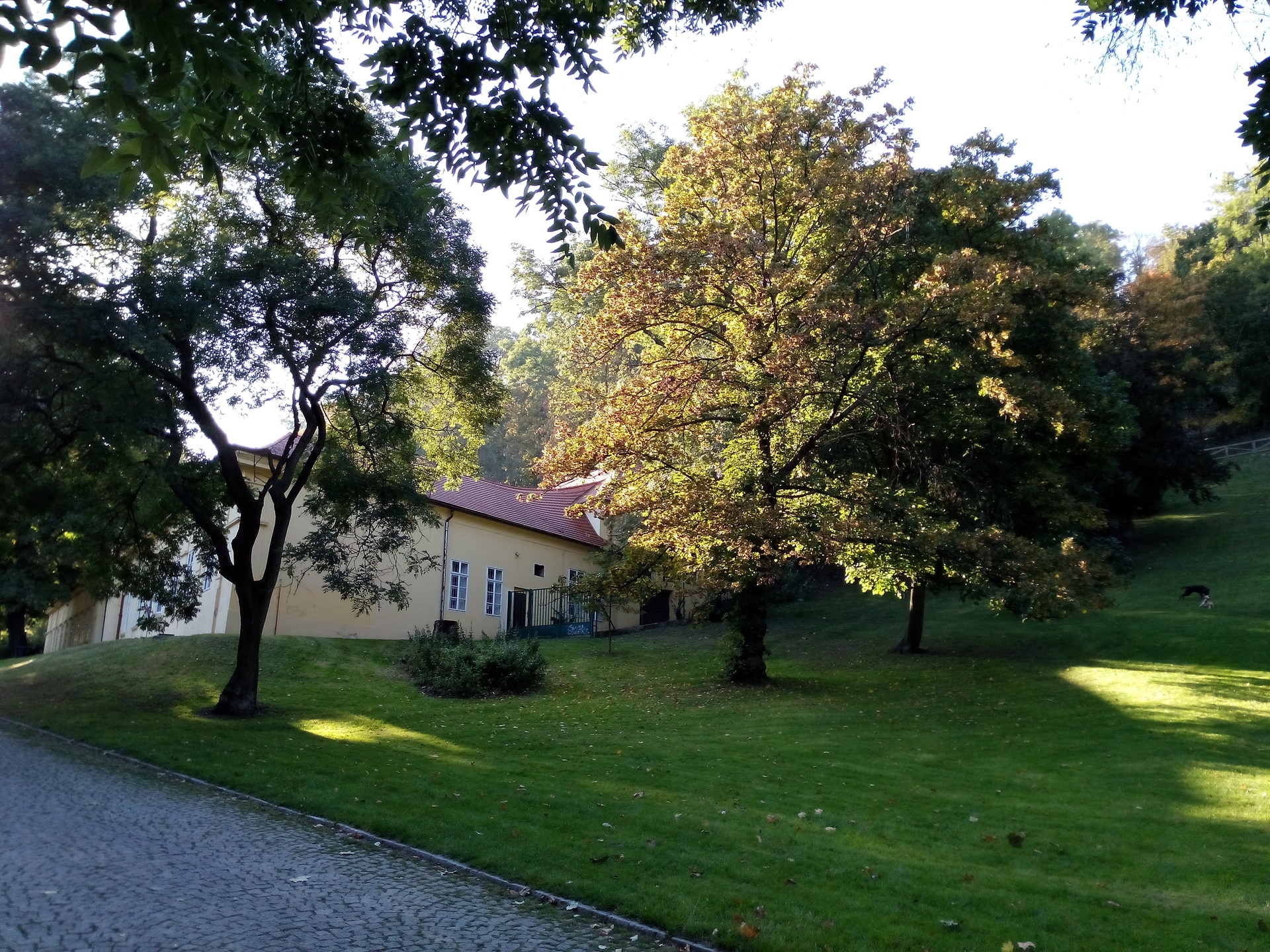 Alcatel One Touch Idol X