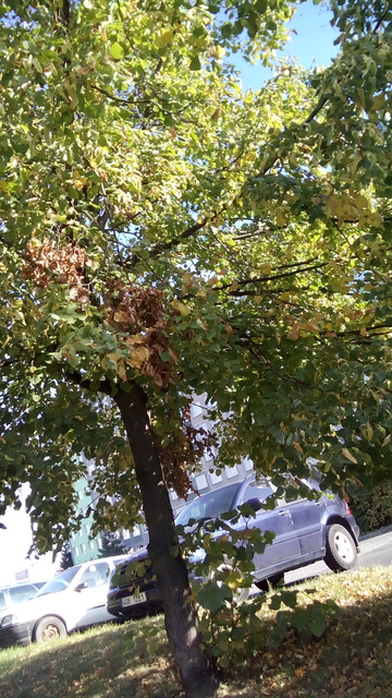 Alcatel One Touch Idol X