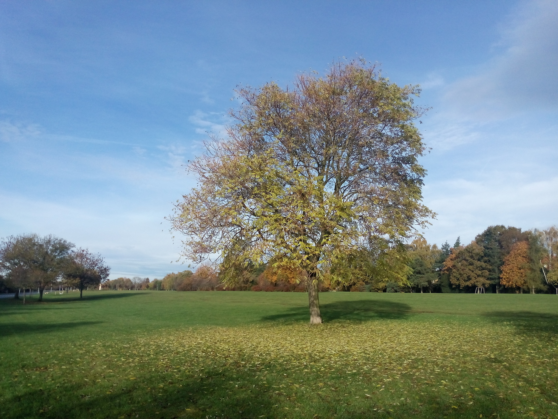 Alcatel One Touch Idol X