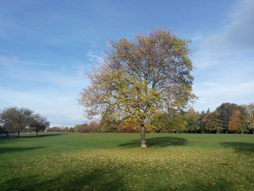 Alcatel One Touch Idol X