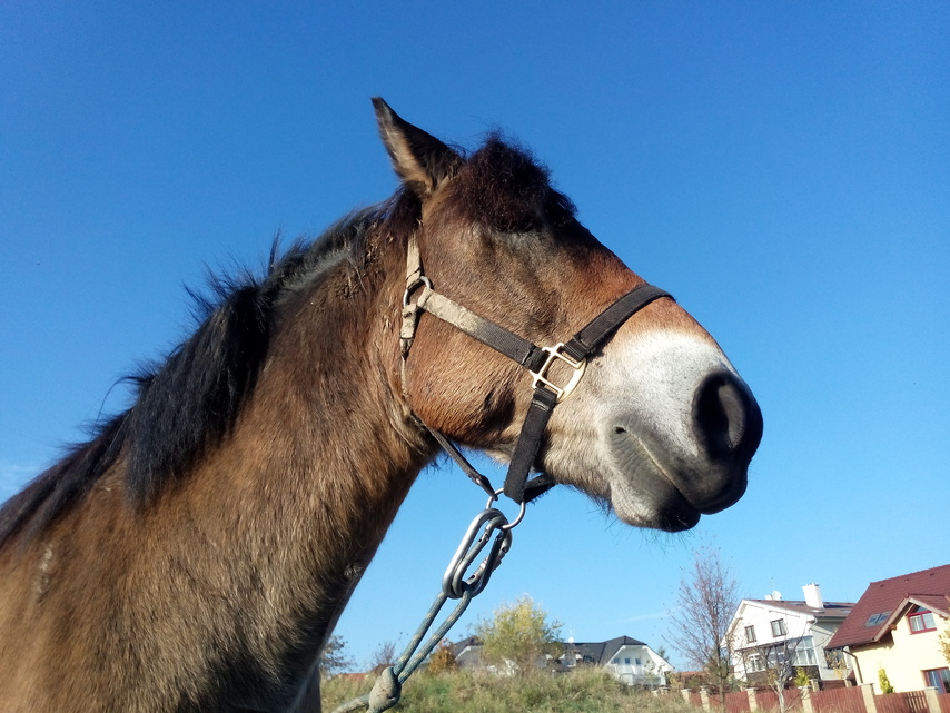 Alcatel One Touch Idol X