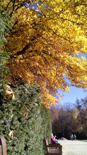 Alcatel One Touch Idol X