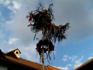 Alcatel One Touch Pop 7