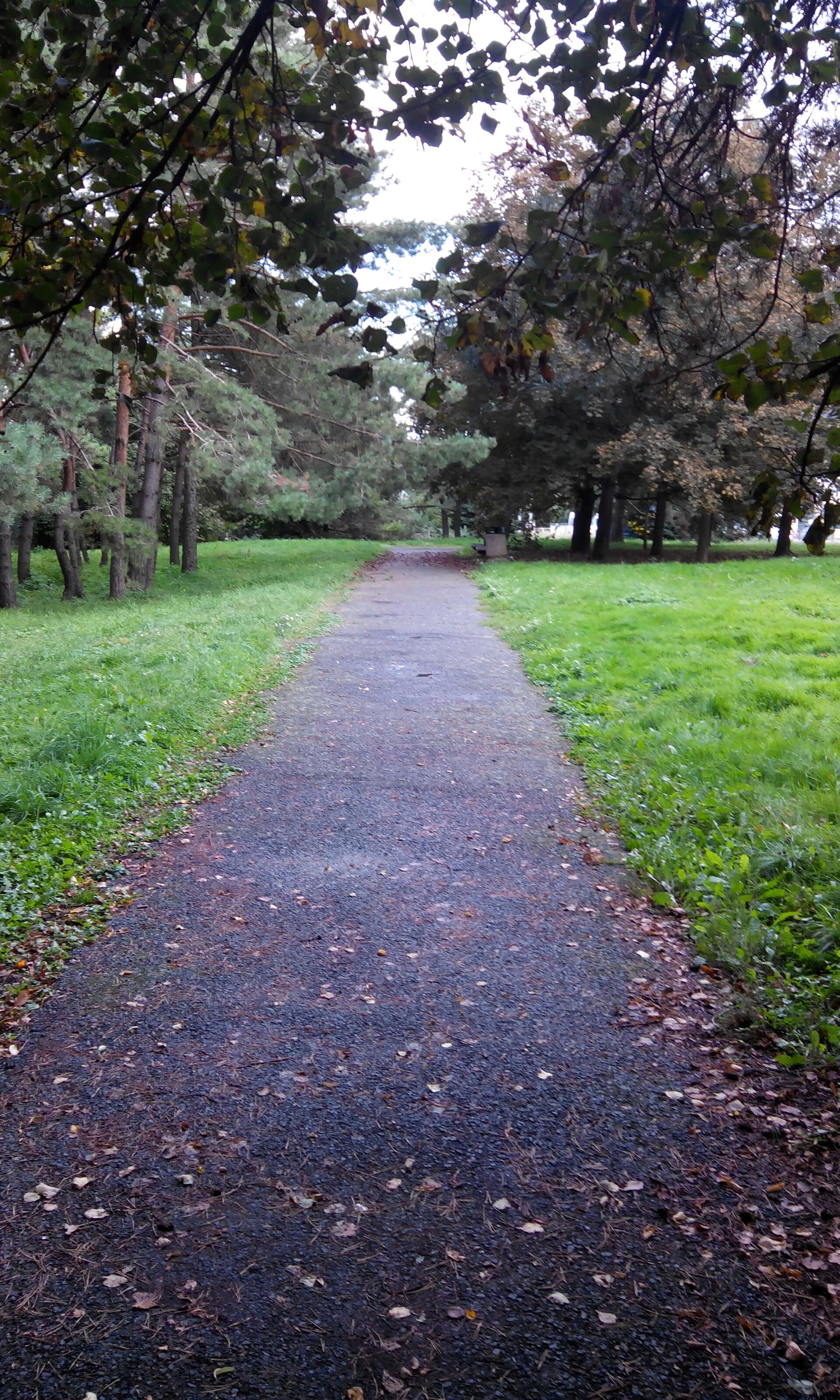 Alcatel One Touch Scribe HD