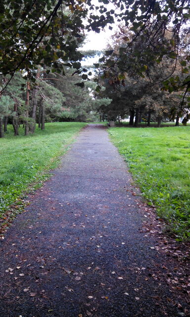 Alcatel One Touch Scribe HD