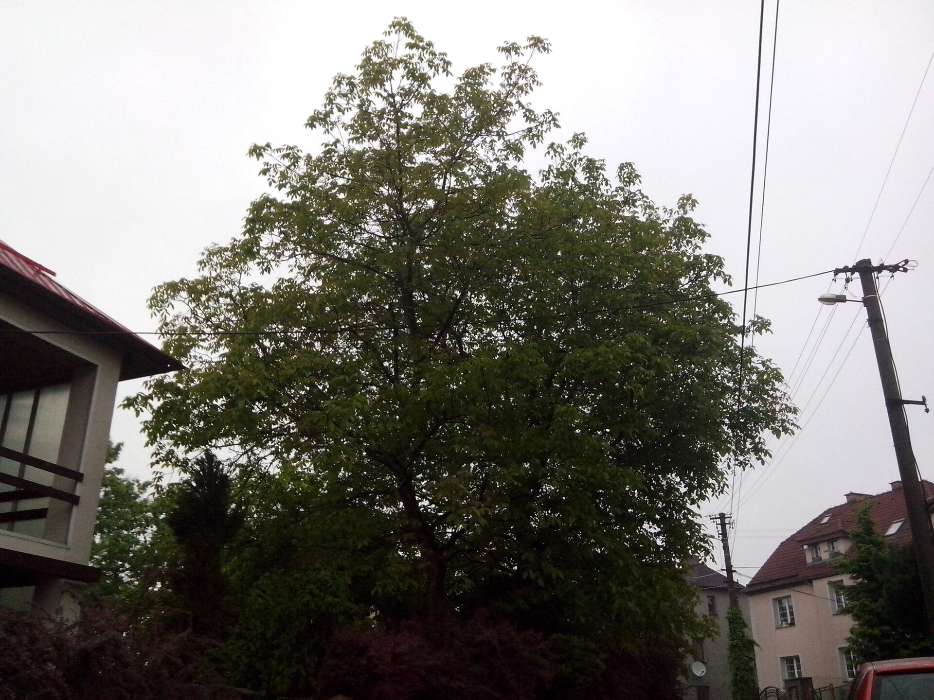 Alcatel One Touch Star