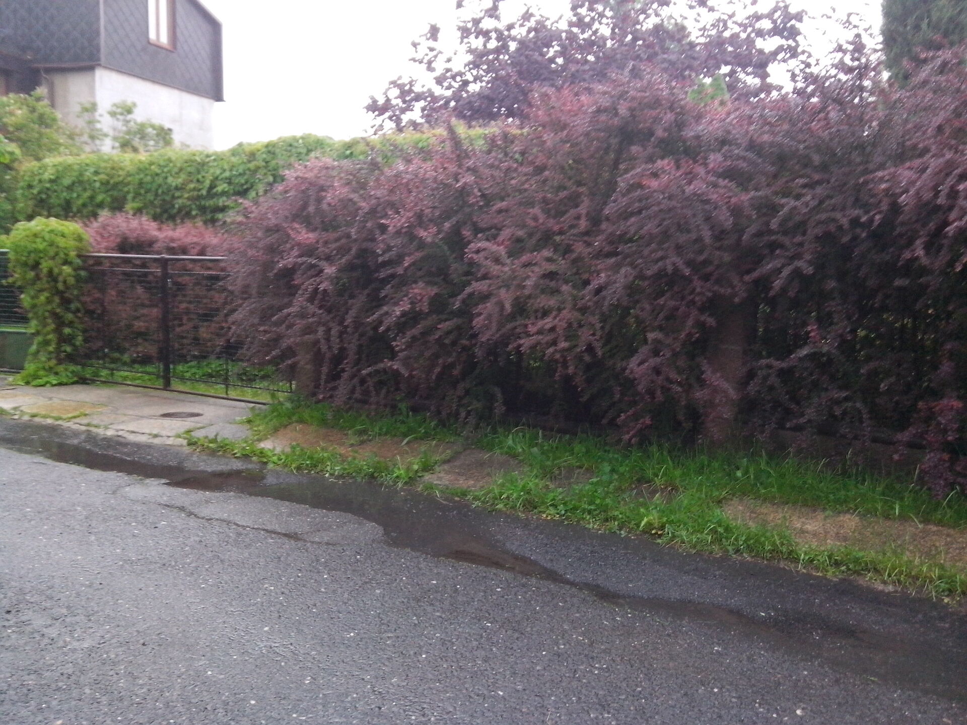 Alcatel One Touch Star