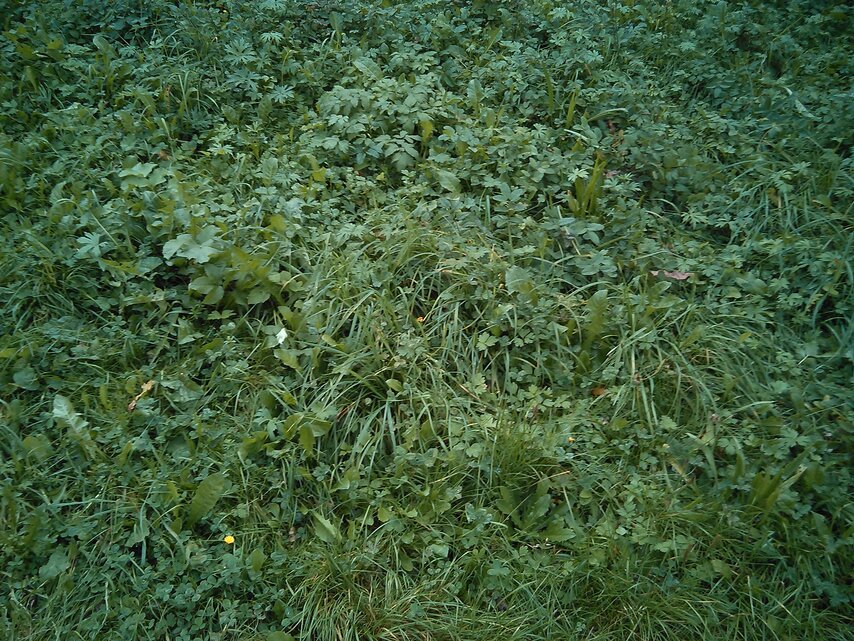 Alcatel OneTouch Fire E