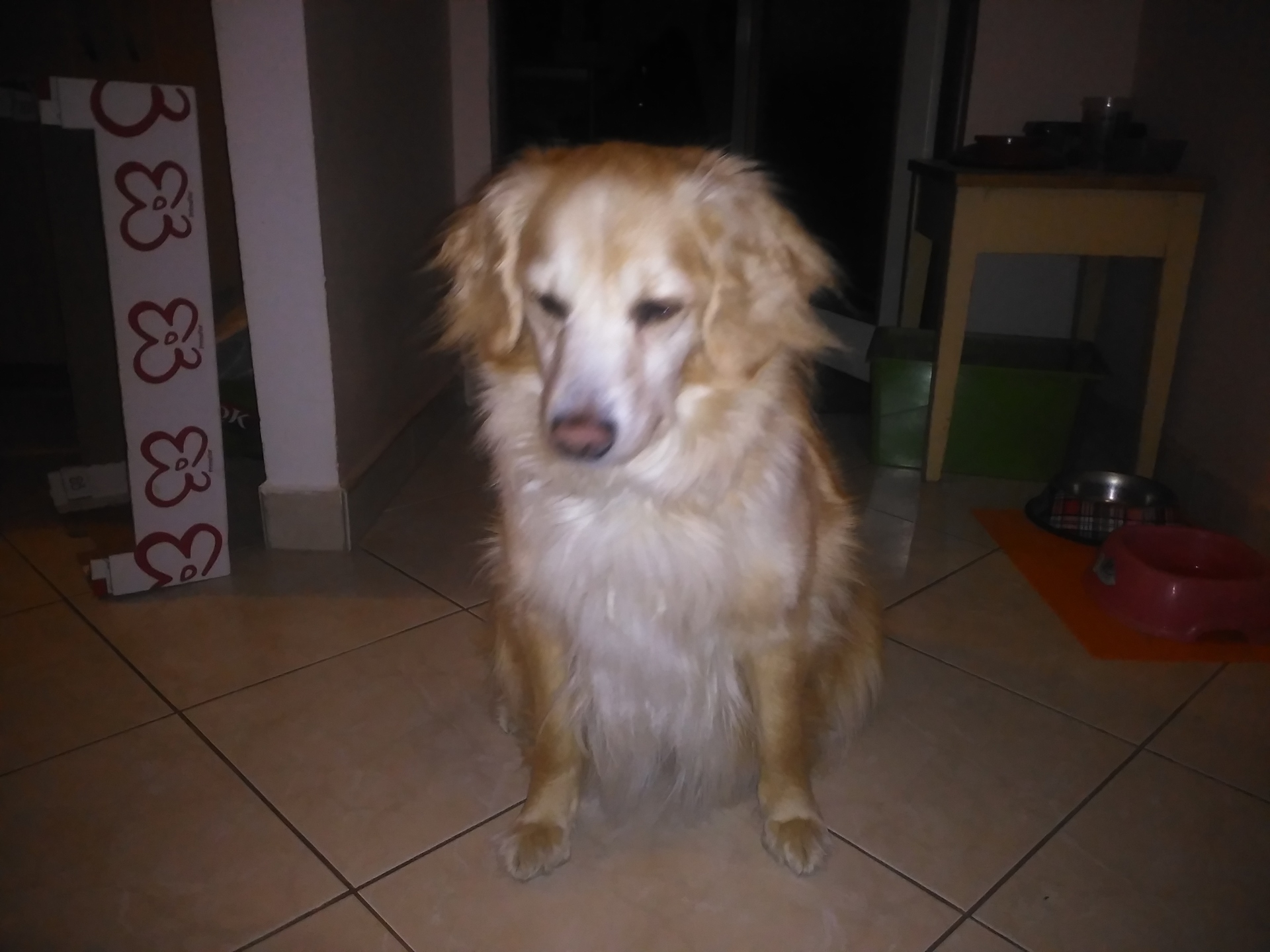 Alcatel OneTouch Go Play