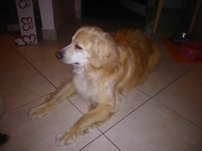 Alcatel OneTouch Go Play