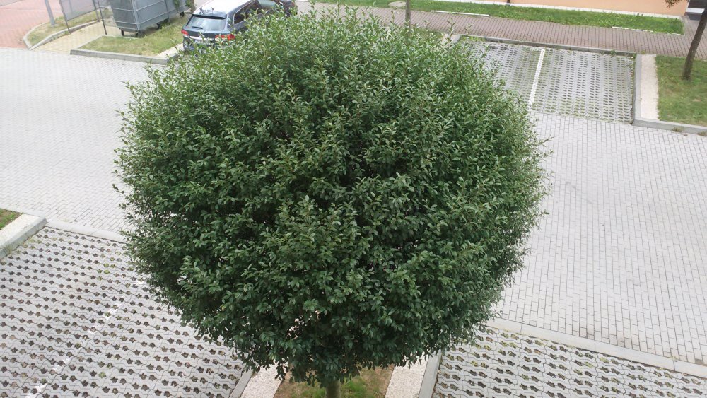 Alcatel OneTouch Idol 2 mini S