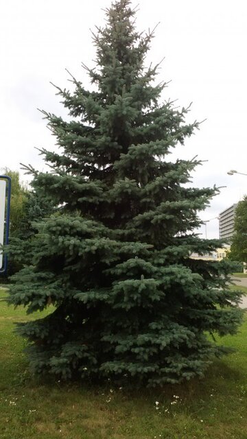 Alcatel OneTouch Idol 2 mini S