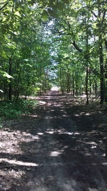 Alcatel OneTouch Idol 2 mini S