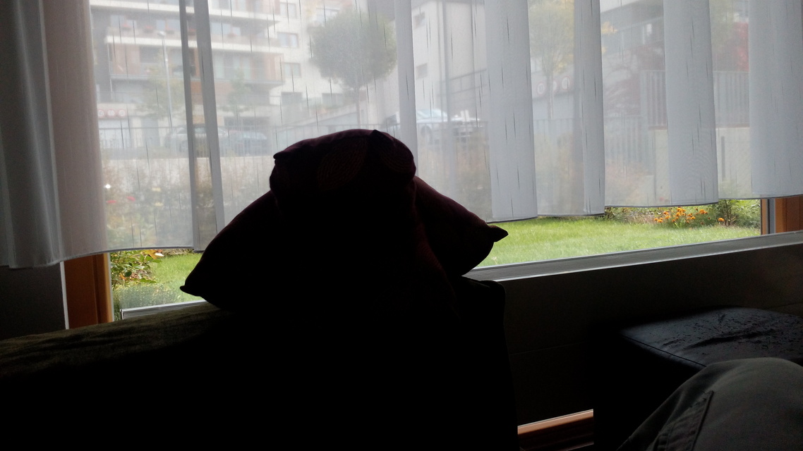 Alcatel OneTouch Idol X +