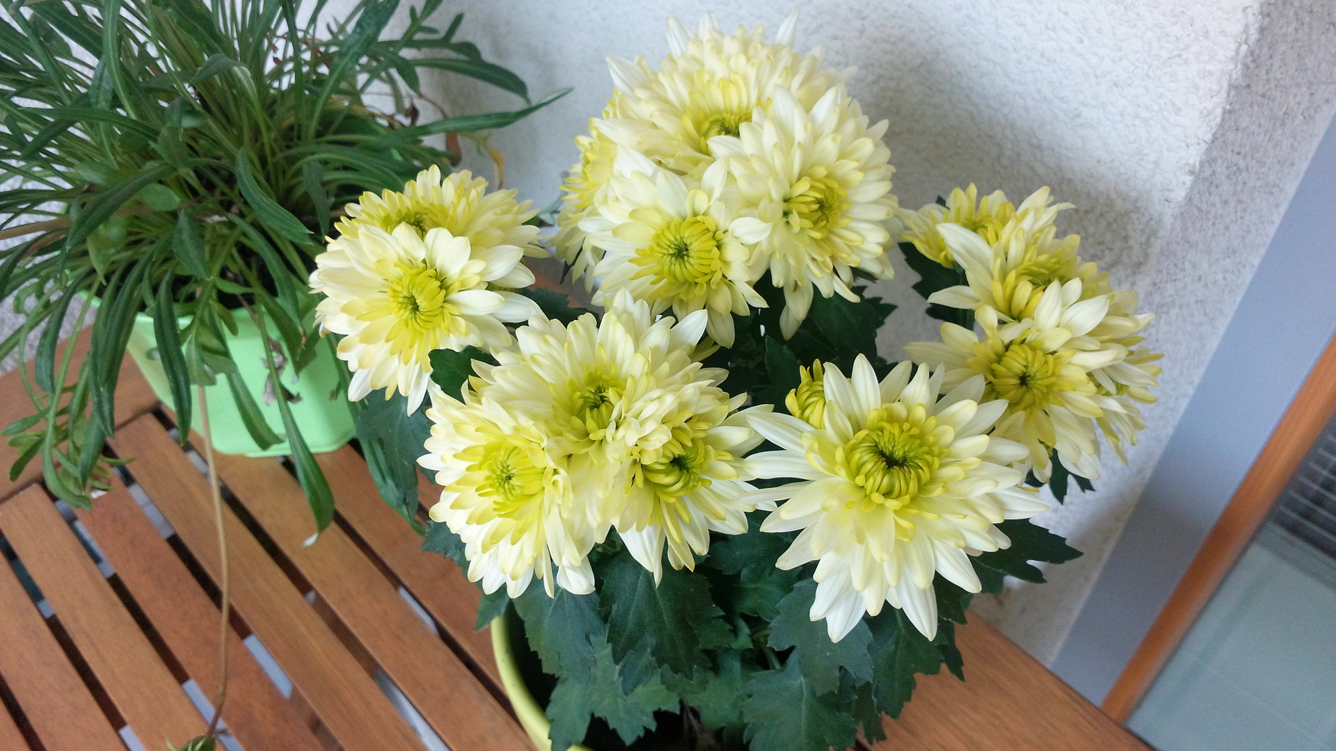 Alcatel OneTouch Idol X +