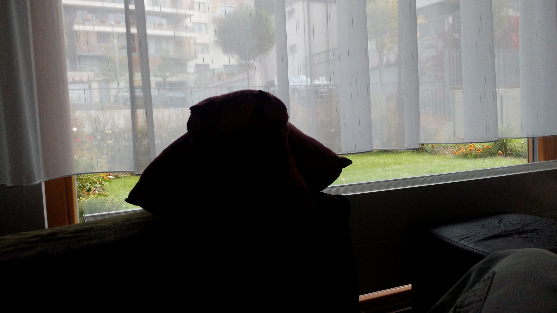 Alcatel OneTouch Idol X +