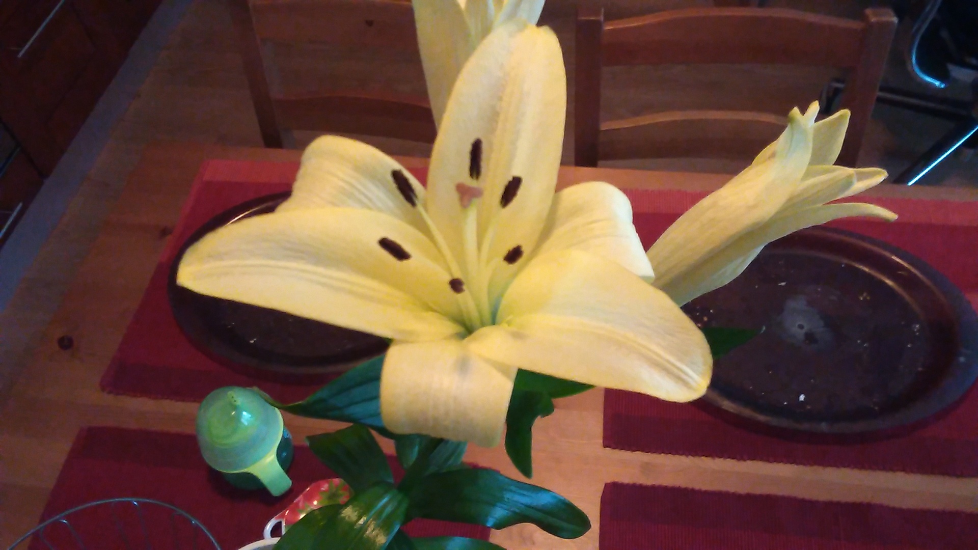 Alcatel OneTouch Pop 2 (4,5\")