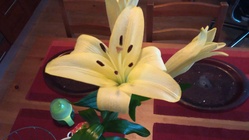 Alcatel OneTouch Pop 2 (4,5\")