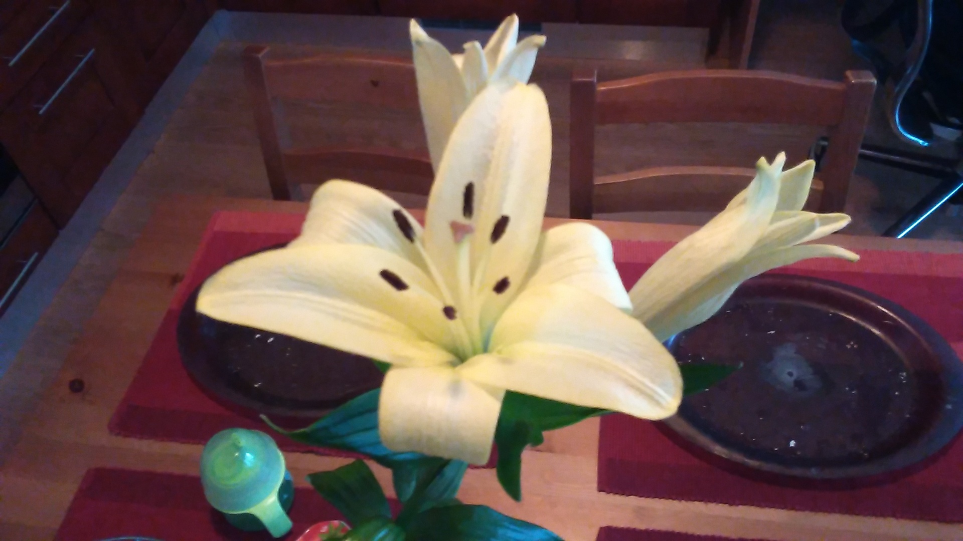 Alcatel OneTouch Pop 2 (4,5\")