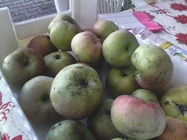 Alcatel OneTouch Pop 7S