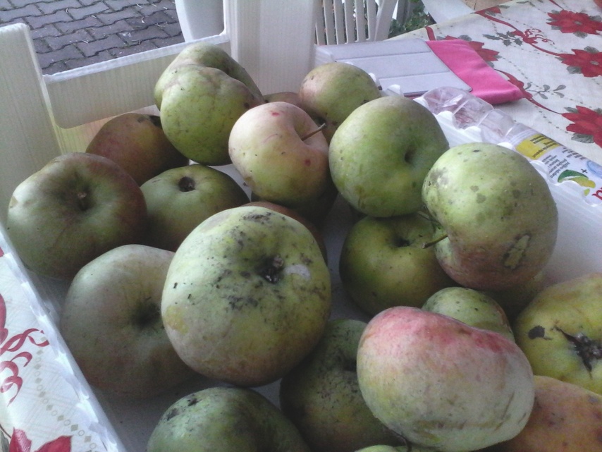 Alcatel OneTouch Pop 7S