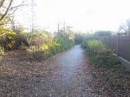 Alcatel OneTouch Pop 7S